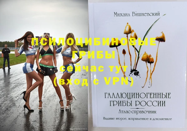прущая мука Бородино