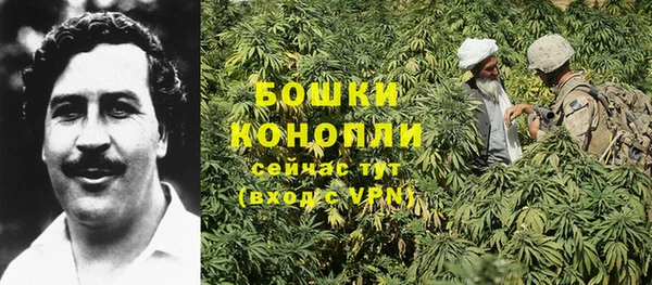 дмт Бронницы