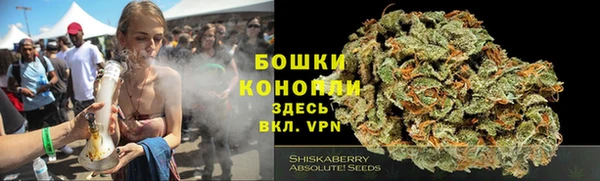 прущая мука Бородино