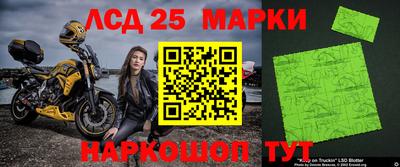 гидропоника Бийск