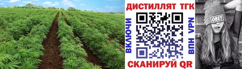 Дистиллят ТГК Wax Вязники